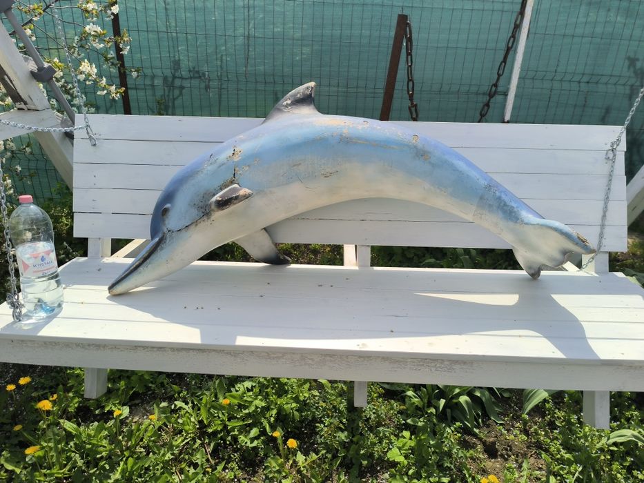 Delfin butaforie design
