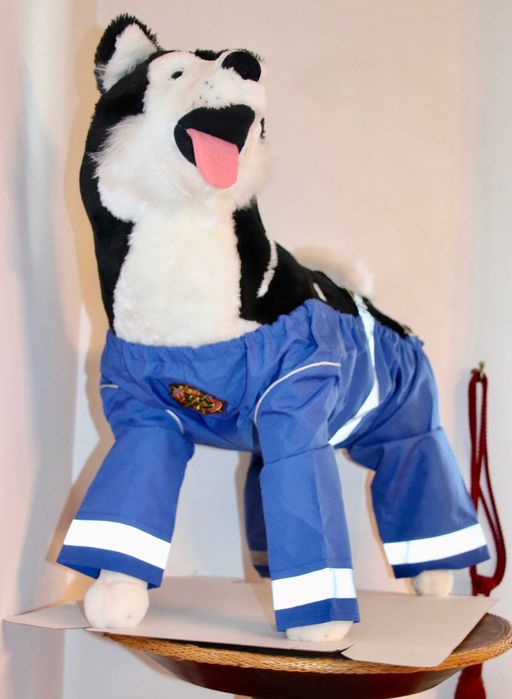 Salopeta Catel impermeabila protectie noroi Masura M si L labrador