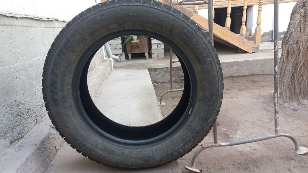 Зимние шина captivaga