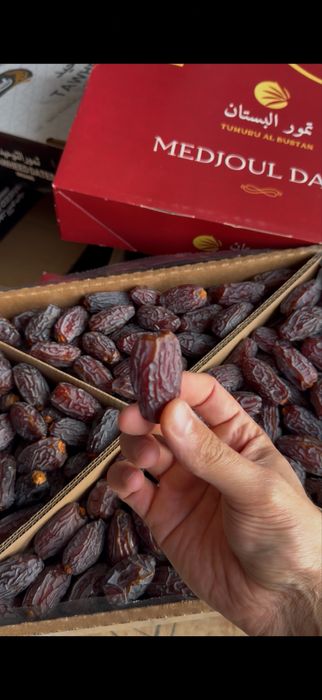 Финиковый сад, финики, курма