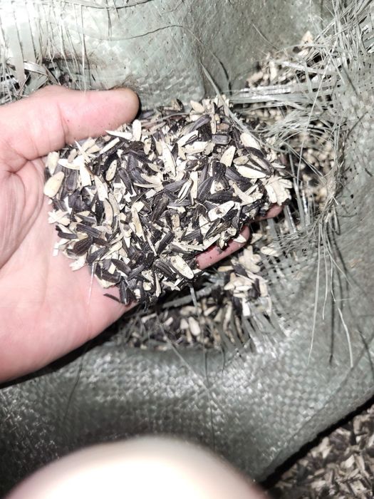 Лузга семечки шелуха подсолнуха семечки