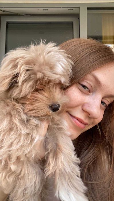 Передержка, зооняня для домашних животных