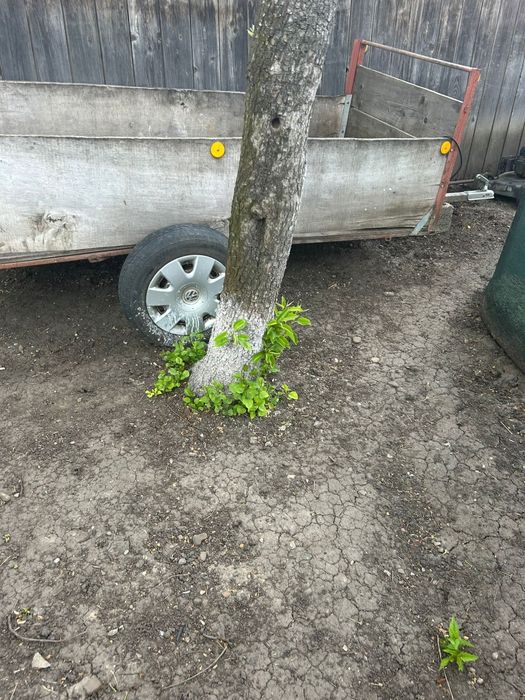 Vand remorca pret si mai multe detalii la nr de telefon 0743597326