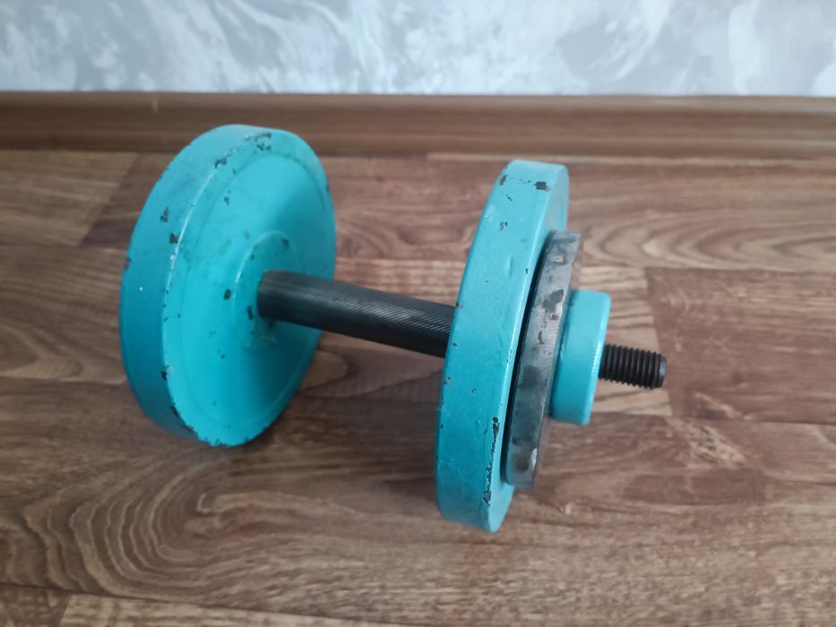 Гантели 5кг, 10 кг