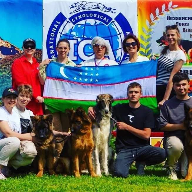 Дрессировка собак кинолог