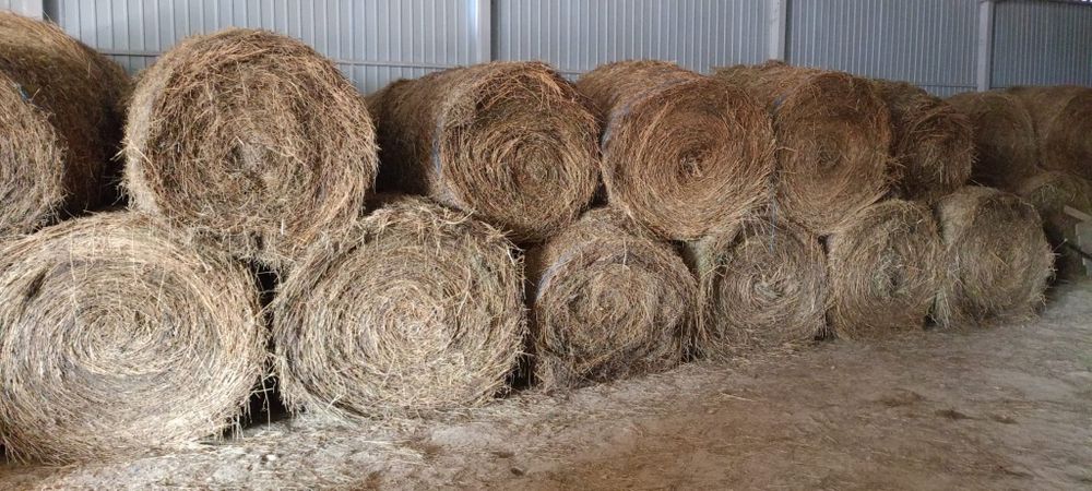 Vând baloți lucernă/fân