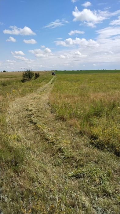 Продам сено в рулонах