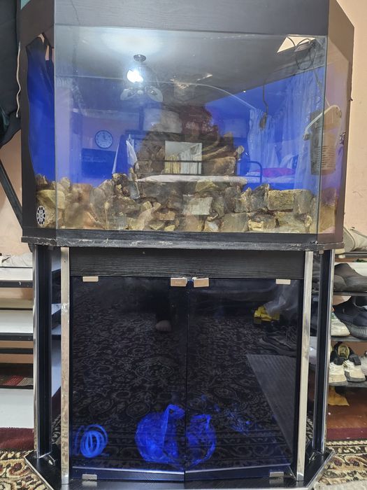 Srochniy akvarum sotiladi