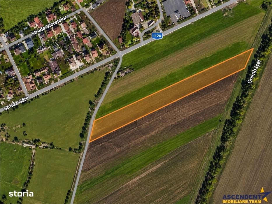Teren intravilan 10.000 mp, parcelabil, plan, acces asfaltat, Bod, Bra