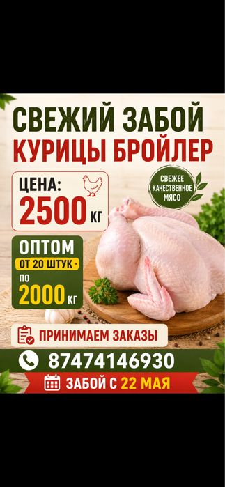 Деревенский бройлер. Мясо курицы