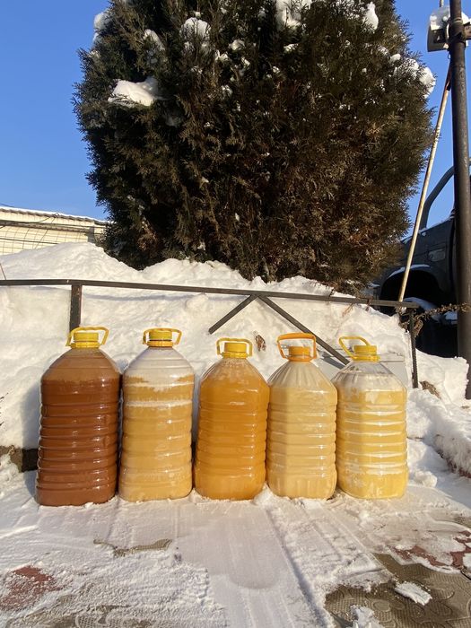 Продам мёд из ВКО. БАЛ.