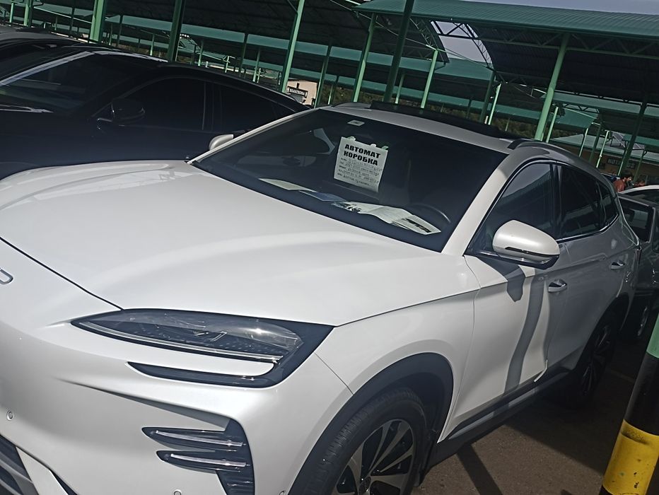 BYD Chempion 605 km eng Fuli