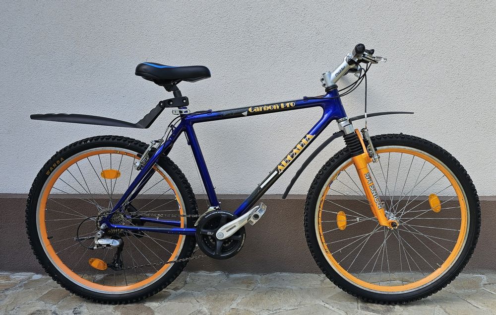 Bicicleta Arcadia Carbon Pro