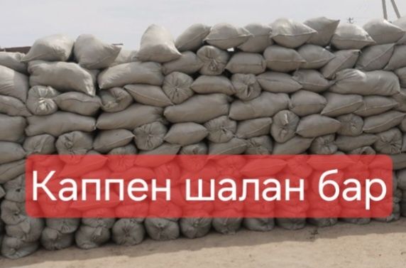 Каппен шалан бар