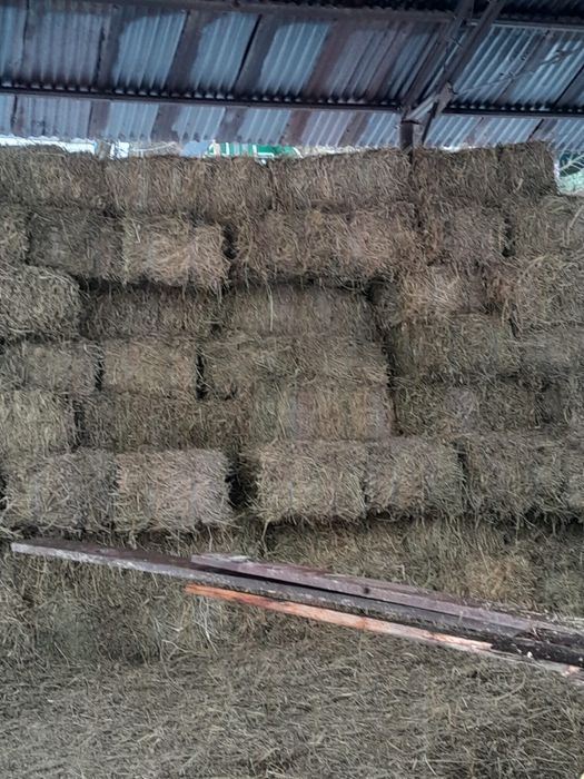 Vand Baloti 200 Otava si 200 Lucerna