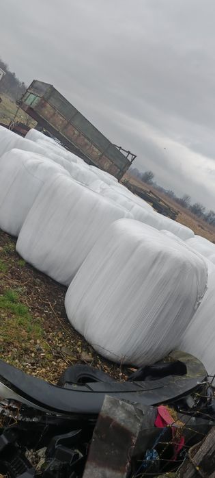 Baloti lucernă coasa 5