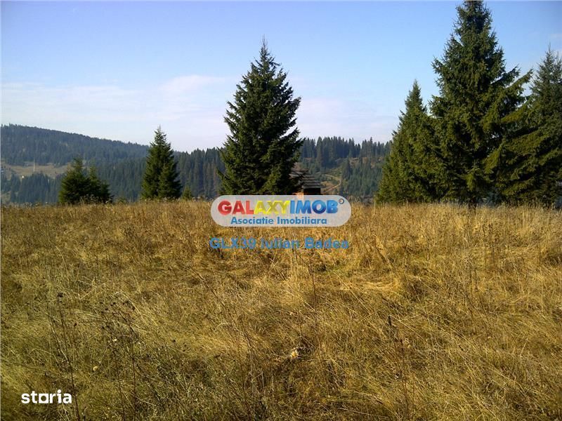 Teren pentru Complex Turistic - 12 730 mp  - Vatra Dornei