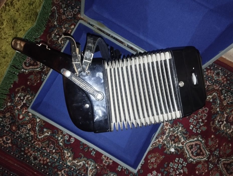 Akardiyon  Royal standart montana