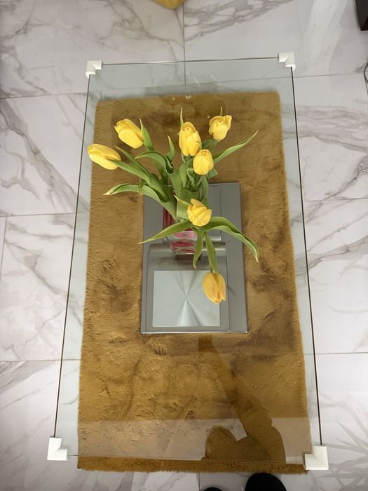 Masa cafea living inox satinat si sticla