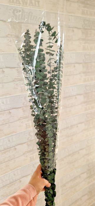 Гипсофила, Лагурус,Эвкалипт стабил.цветы,