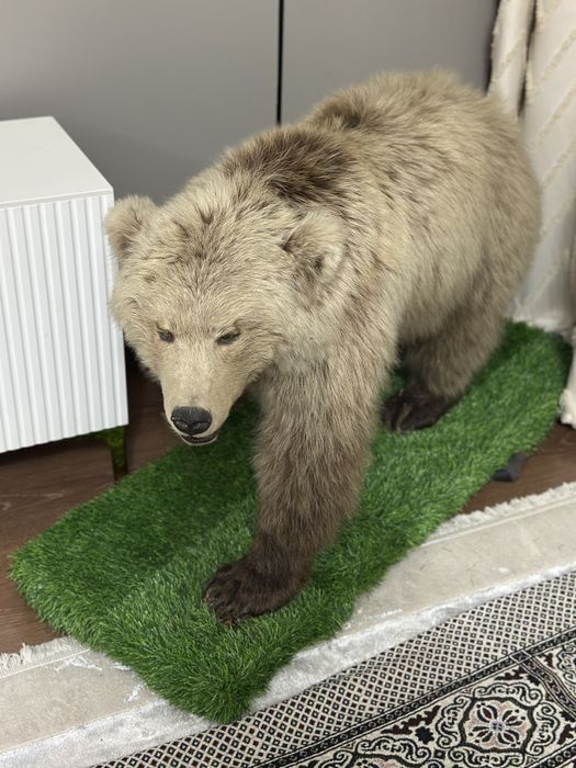 Срочно продам антиквариат Медведь