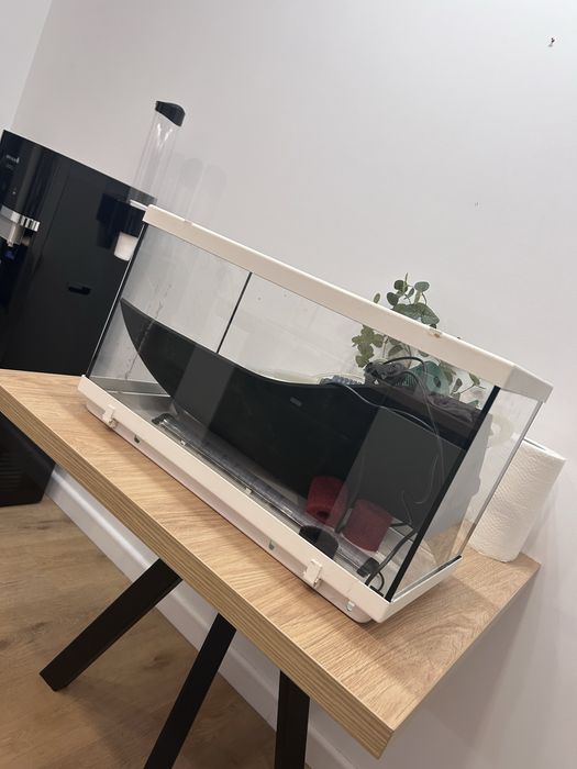 Acvariu  pentru pesti