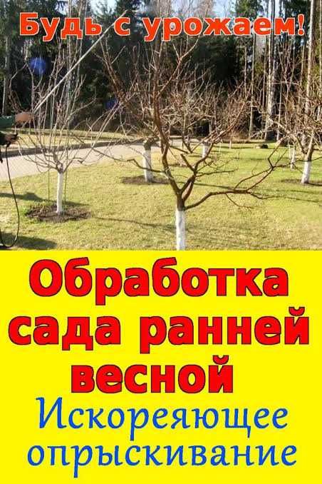 Весенняя обработка сада