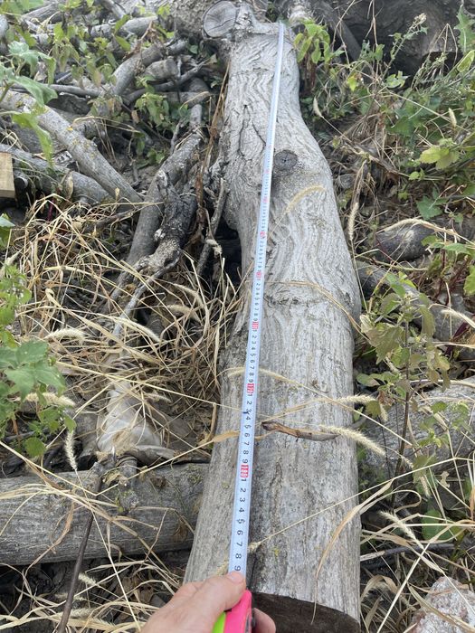 Орех-дърво на трупи