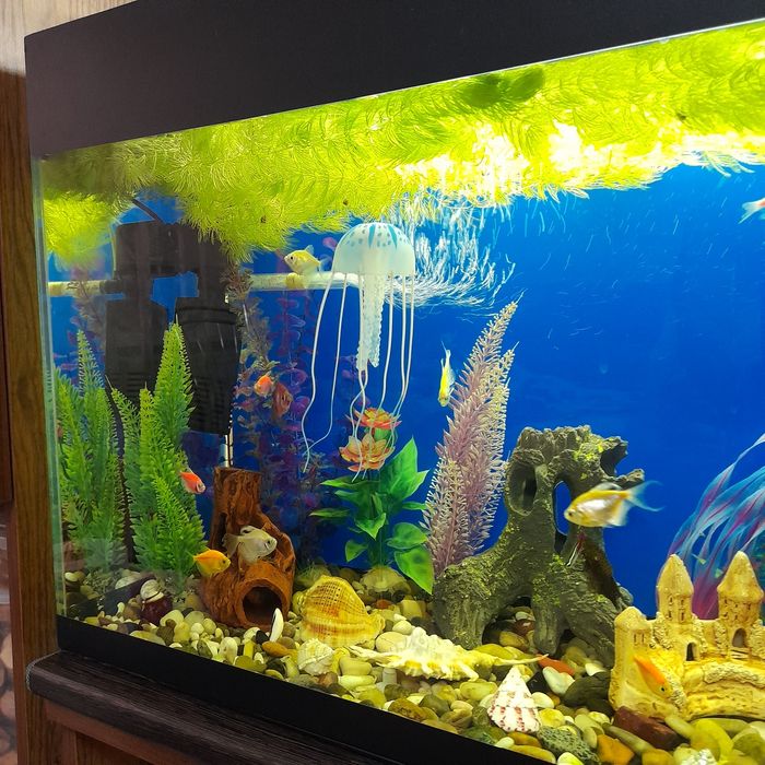 Аквариум 120 литров