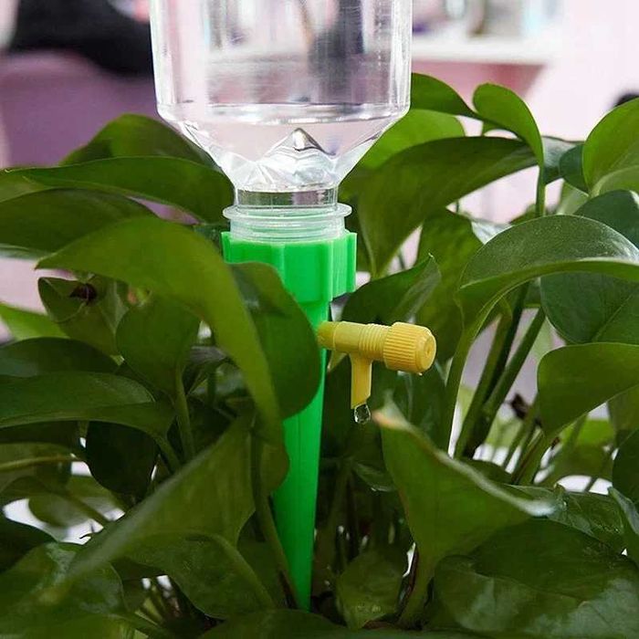 Система за капково напояване в саксия домашн условия