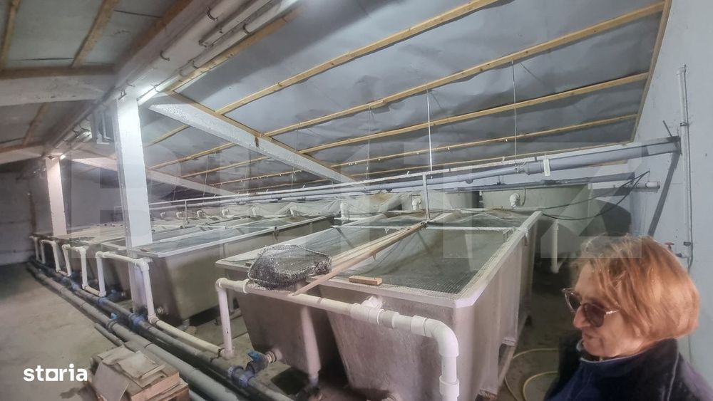 Vila 3 Ha Teren Cu Afacere In Conservare