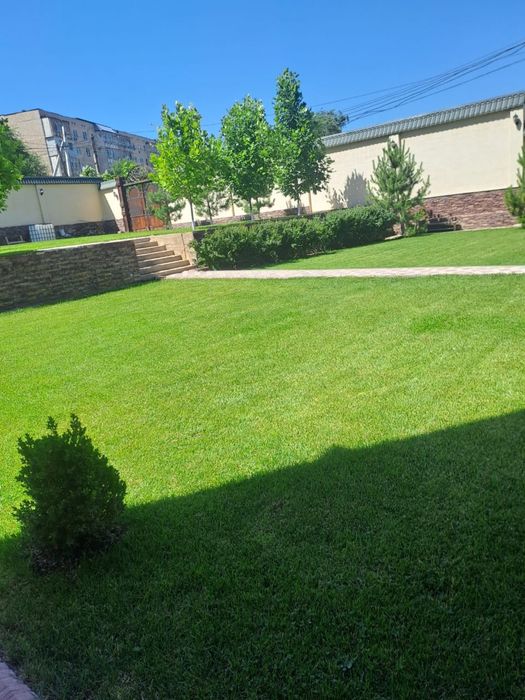 Автополив Газон ландшафный