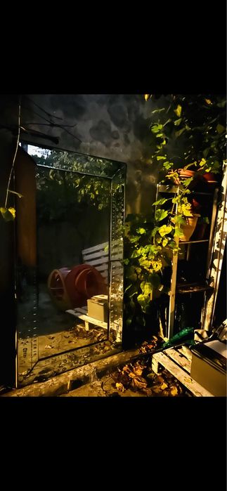 Oglinda venetiana 171/90 cm