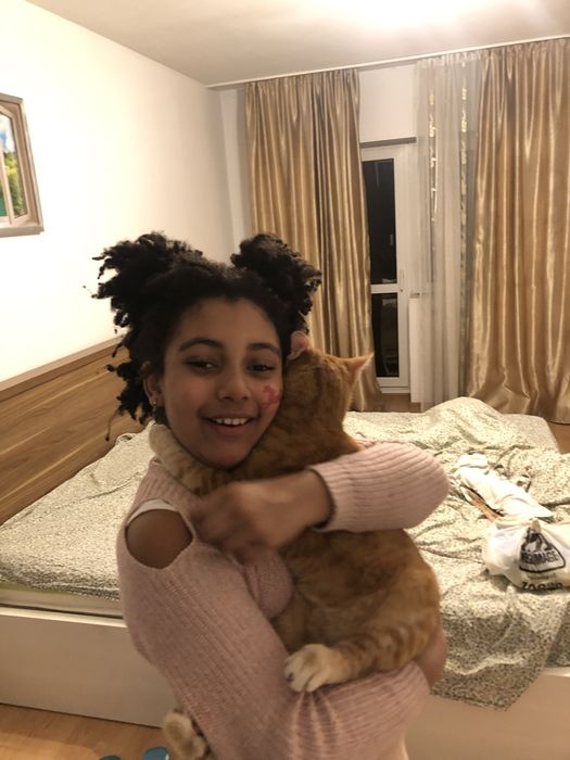 Pet sitter / cazare animalute