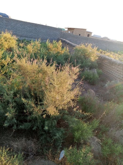 Qarshi tumani Yangibogda uchaska sotiladi