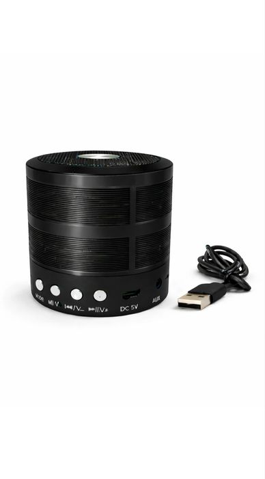 Блютуз колонка WS-887