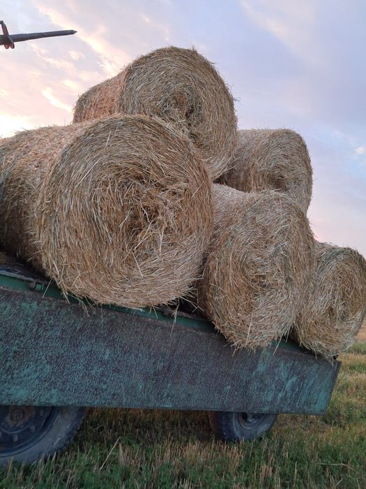 Vând  baloţi de coceni și de paie