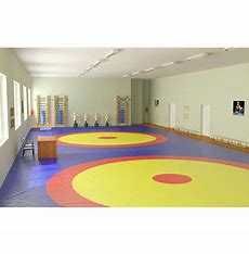 Борцовский ковер (без матов), 12х12м супер цена