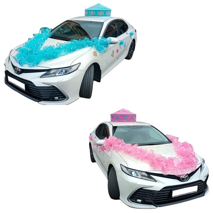 Выписка из Роддома!