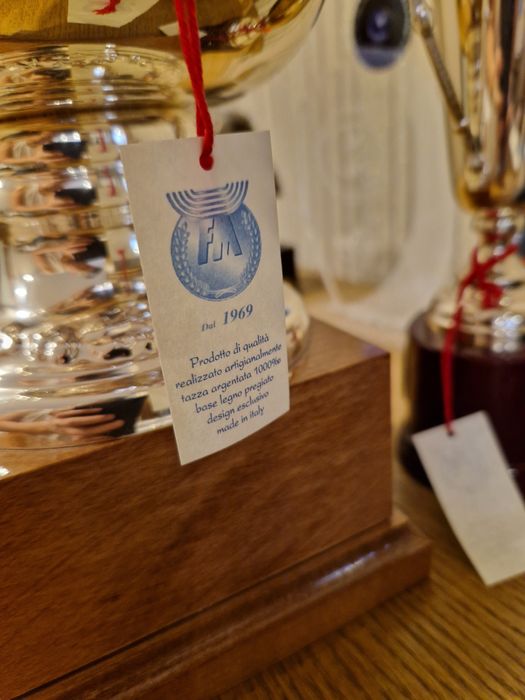 Трофей-кубок серебро Италия