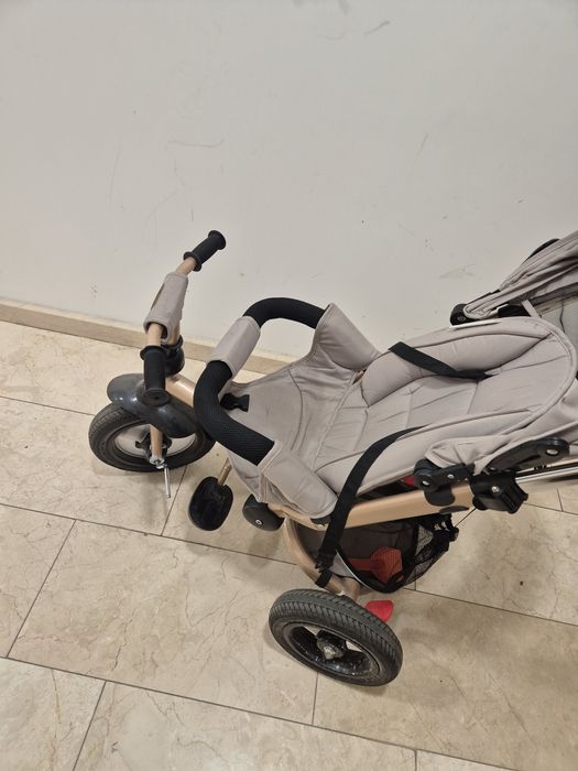 Триколка Chipolino Bolide