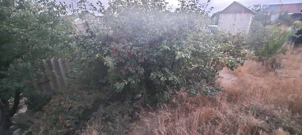 Продам Участок 6 соток