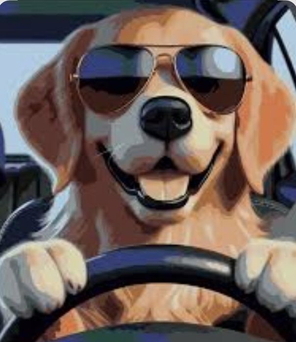 Зоотакси перевозка животных