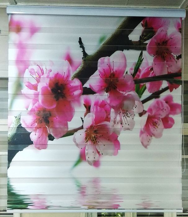 Jalyuzi barcha turdagi optom narxlar