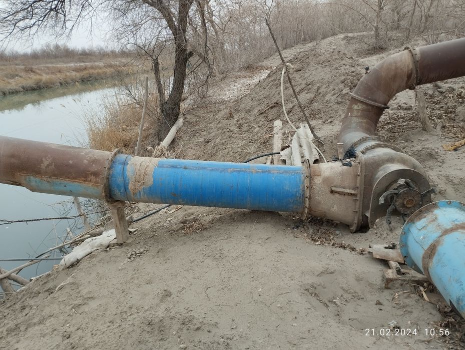 Altay naso'z faqat dinam yo'q! Narxi kelishiladi