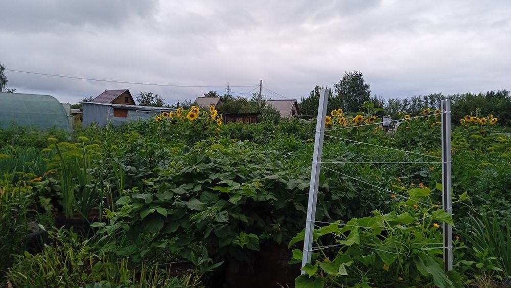 Продам дачу по мамлютской трассе ракета  общество