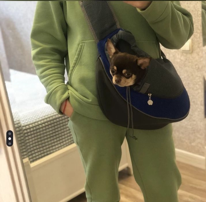 Сумка Переноска для кошек и собак