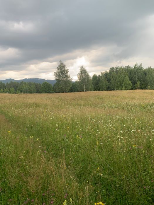Vânzare teren intravilan 9200 mp