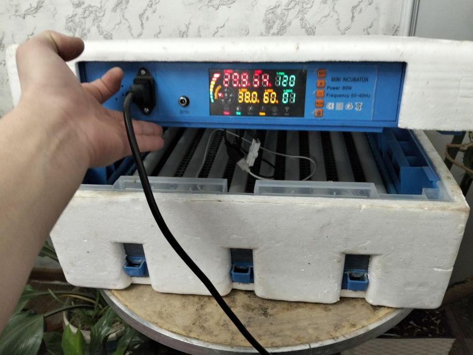 Инкубатор 64 жұмыртқа