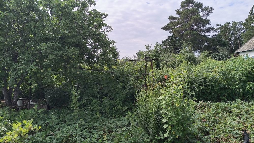 Продам дачу 16соток, город Алга 22 коллектив